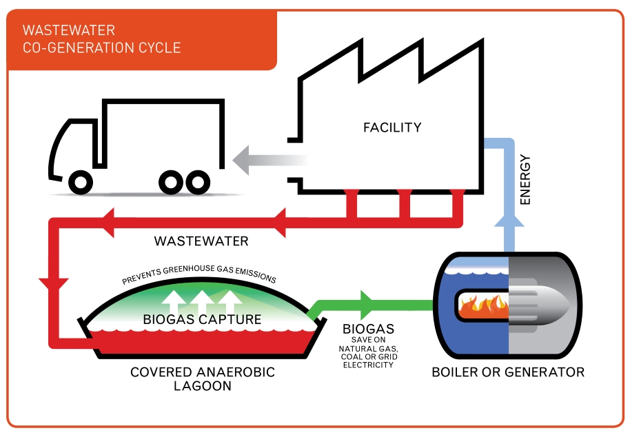 Biogas diagram FB2